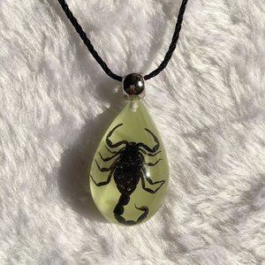 Necklace pendant, Scorpion King amber from nature